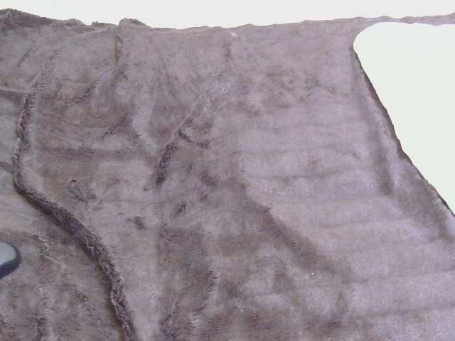 Riccara live webcam show