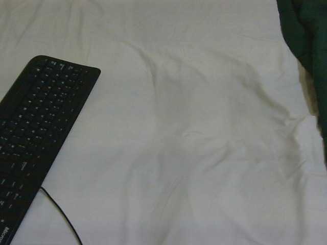 Riccara live cam on BongaCams