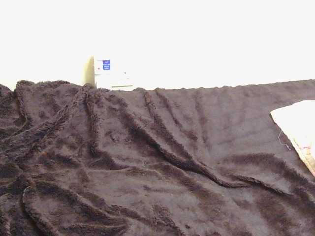 Riccara live cam on BongaCams