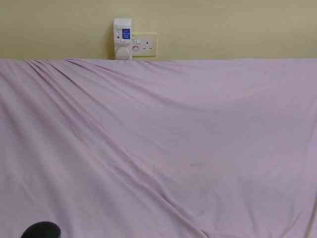 Riccara webcam