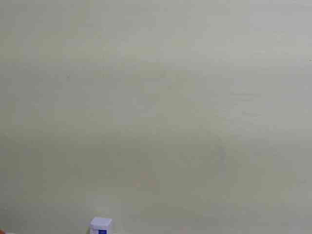 Riccara webcam