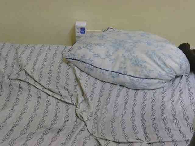 Riccara webcam