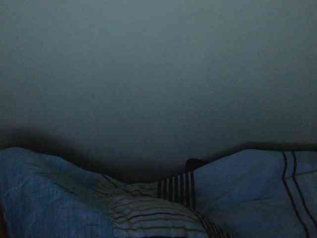 Riccara webcam