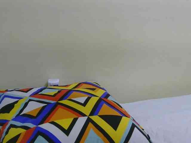 Riccara webcam
