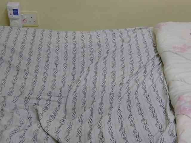 Riccara Live Webcam on BongaCams