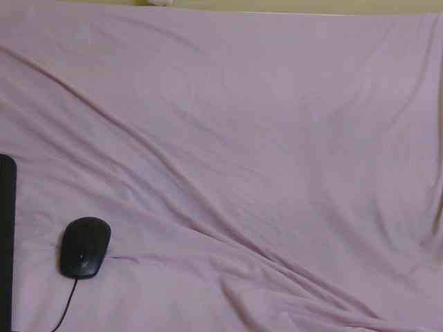Riccara webcam