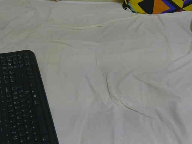 Riccara webcam