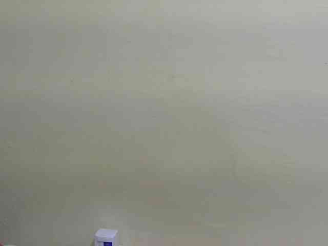 Riccara webcam