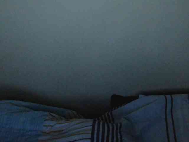 Riccara webcam