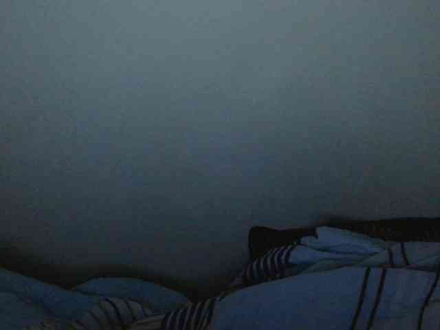 Riccara webcam