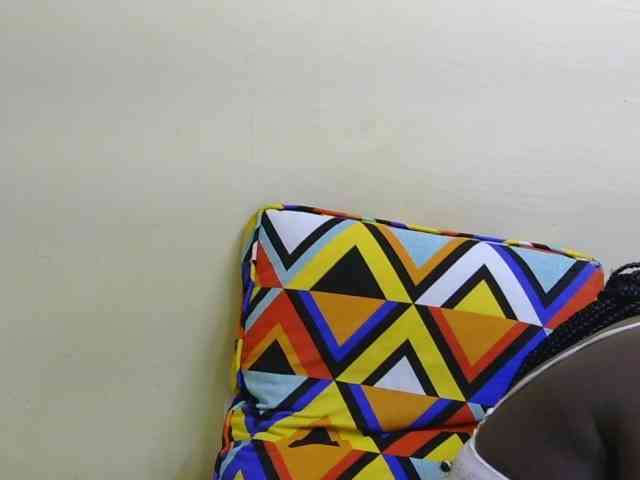 Riccara webcam
