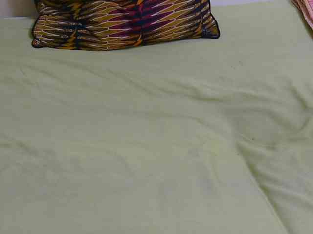 Riccara webcam