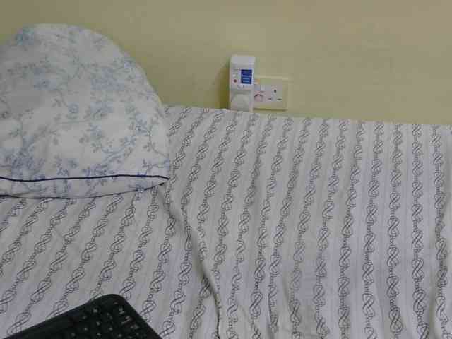 Riccara webcam
