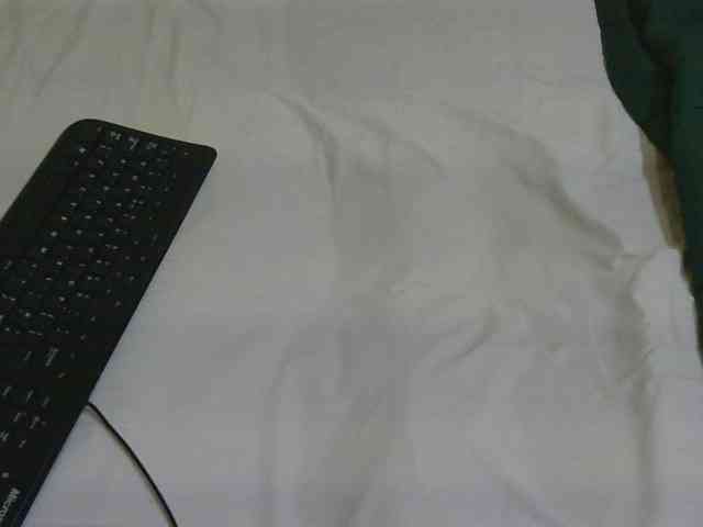 Riccara webcam