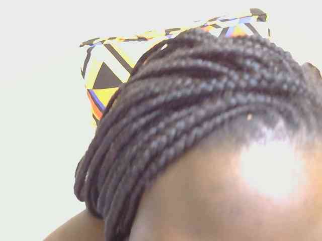 Riccara webcam