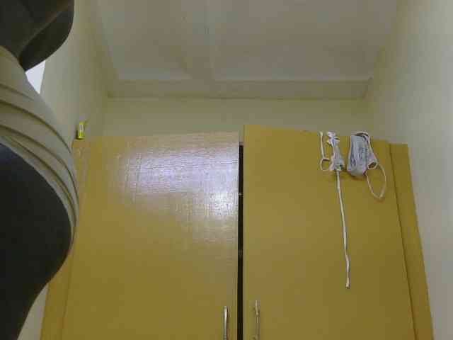 Riccara webcam