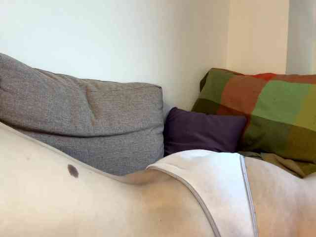 AvelinaBagron webcam