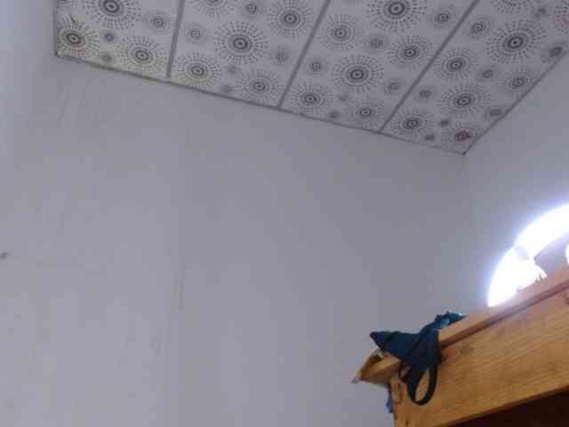 hairygirl83 webcam