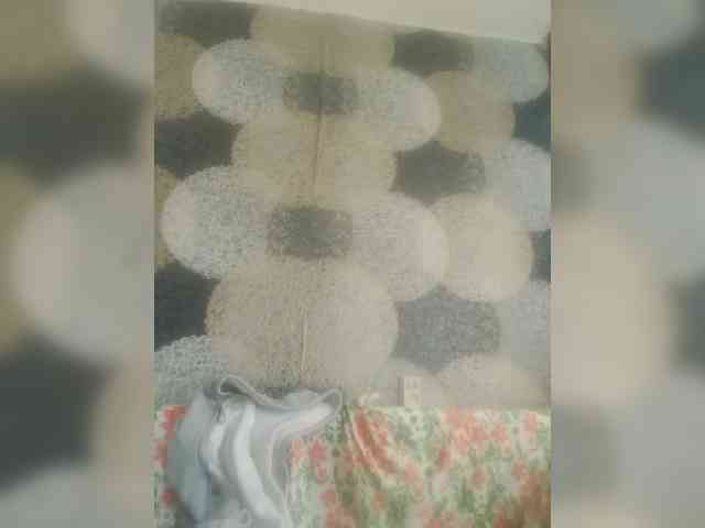 Lida7 webcam
