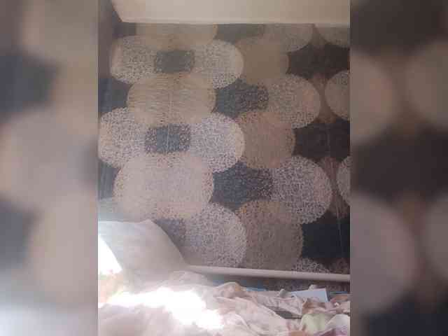 Lida7 webcam