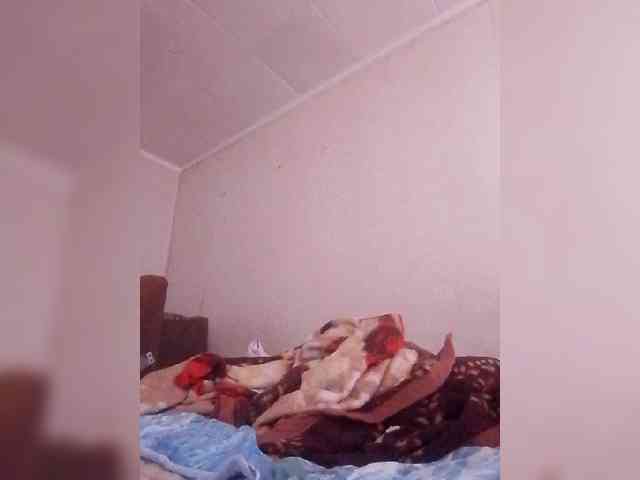 Lida7 webcam