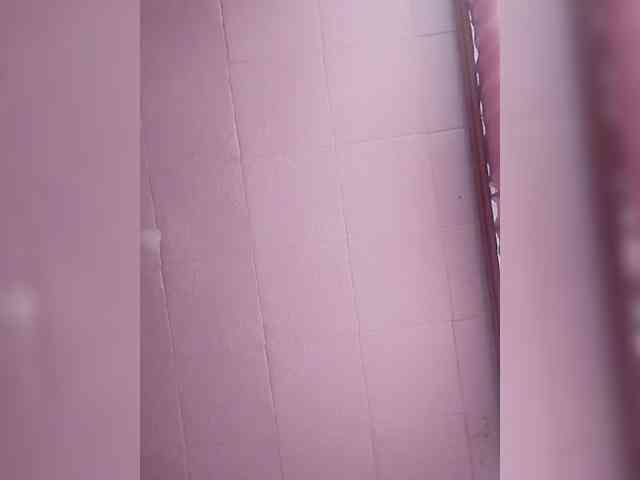 Lida7 webcam