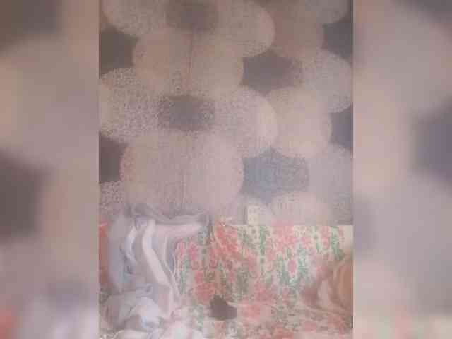 Lida7 webcam
