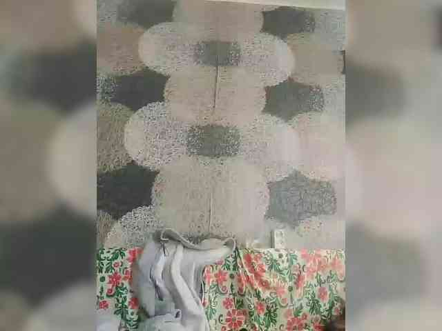 Lida7 webcam