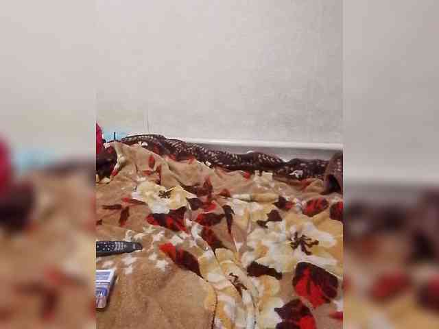 Lida7 webcam
