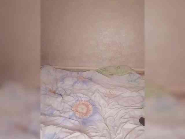 Lida7 webcam