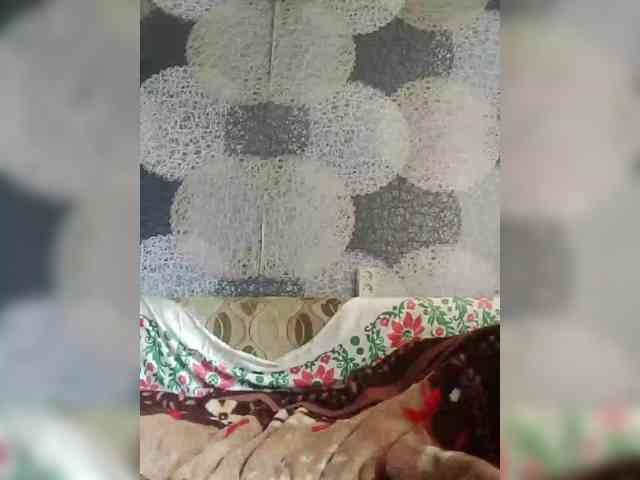 Lida7 webcam