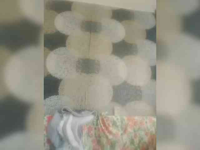 Lida7 webcam