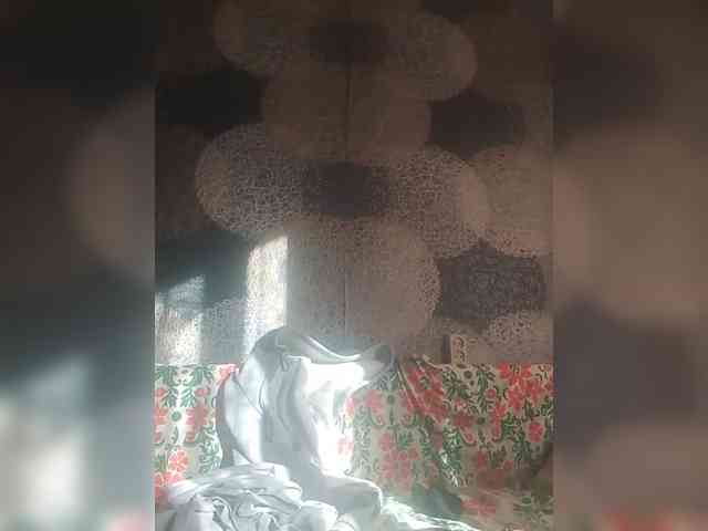 Lida7 webcam