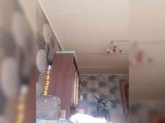 Lida7 webcam