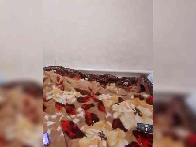 Lida7 webcam