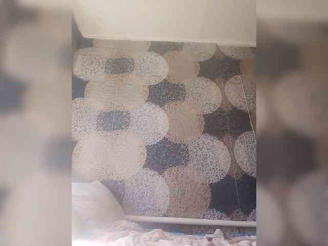 Lida7 webcam