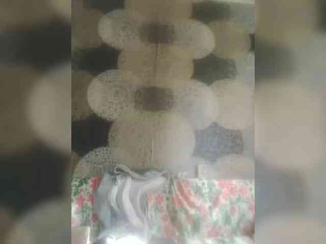 Lida7 webcam