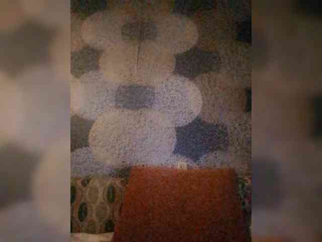 Lida7 webcam