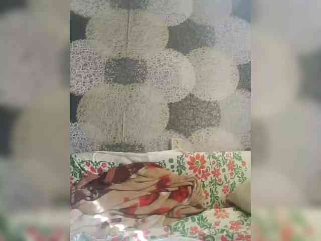 Lida7 webcam