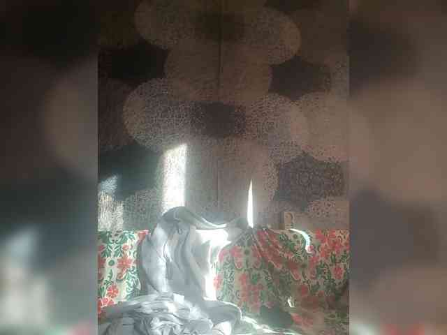 Lida7 webcam