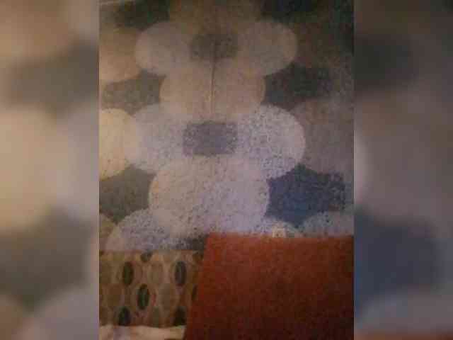 Lida7 webcam