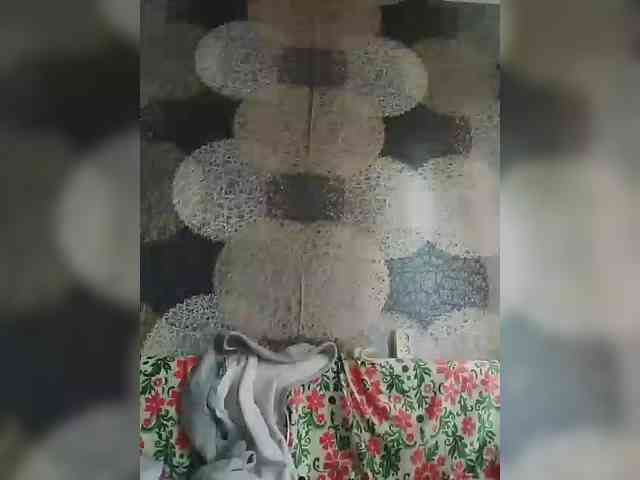 Lida7 webcam