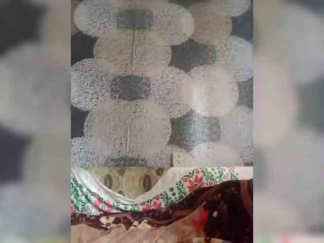 Lida7 webcam