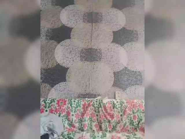 Lida7 webcam