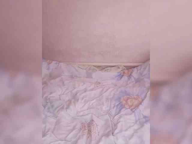 Lida7 webcam
