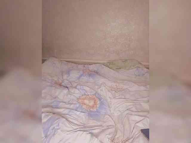Lida7 webcam
