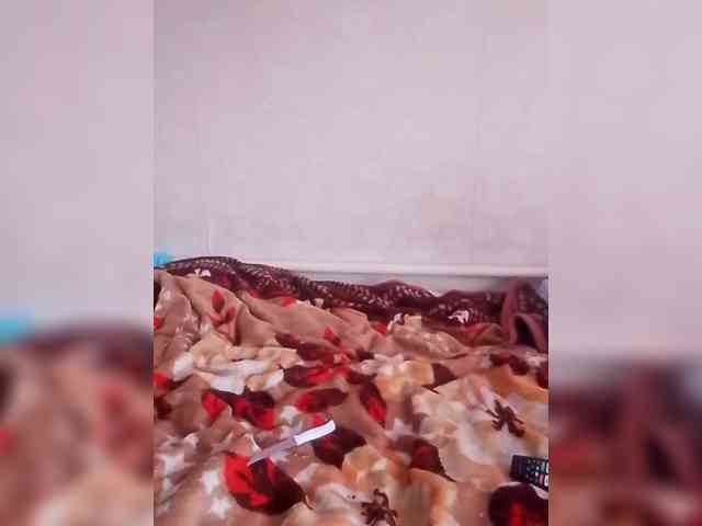 Lida7 webcam