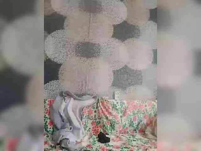 Lida7 webcam