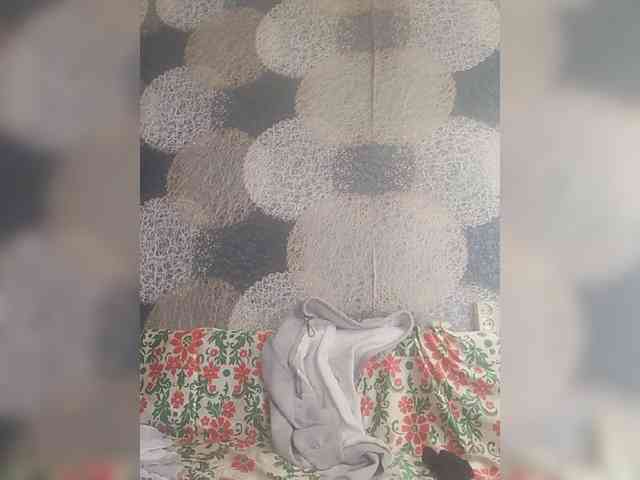 Lida7 webcam