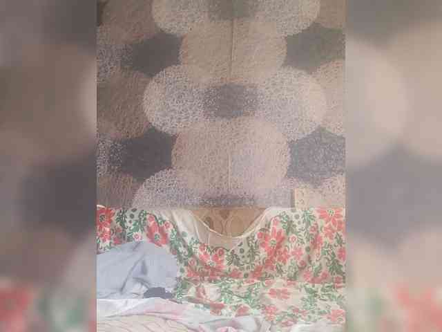 Lida7 webcam